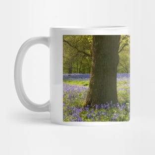 Bluebell Wood, Essex Mug